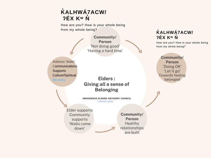 Logic Model for Indigenous Court